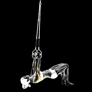 Suspender Bent-Knee Inverted Row demonstration