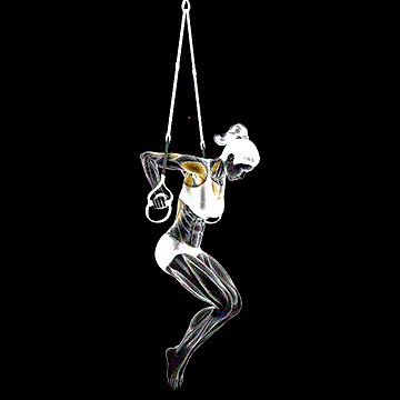 Suspender Chest Dip demonstration