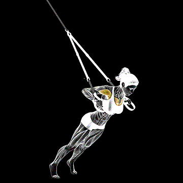Suspender Chest Press demonstration