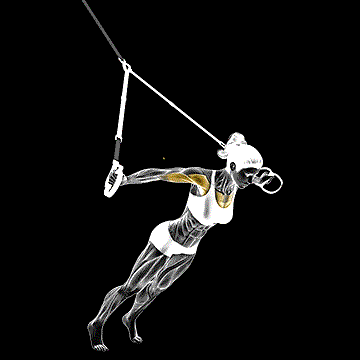 Suspender Fly demonstration