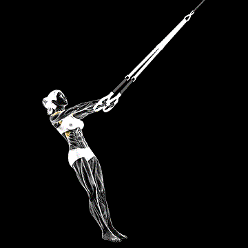 Suspender Front Raise demonstration