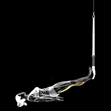 Suspender Hamstring Runner demonstration