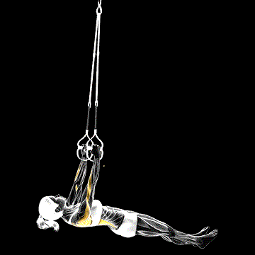Suspender Inverted Row demonstration