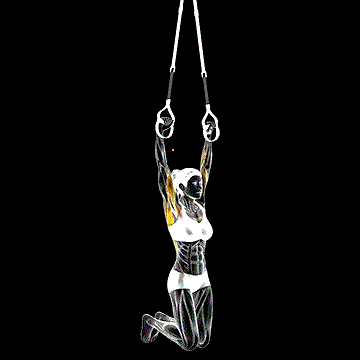 Suspender Pull-up demonstration
