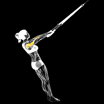 Suspender Rear Delt Row demonstration