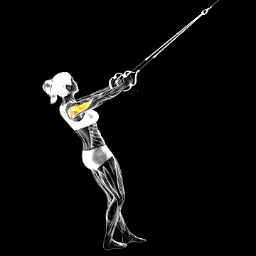 Suspender Reverse Fly demonstration