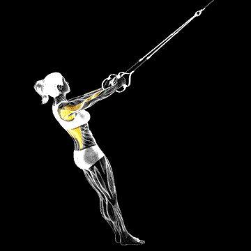 Suspender Row demonstration