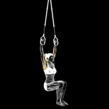 Suspender Self-assisted Pull-up demonstration