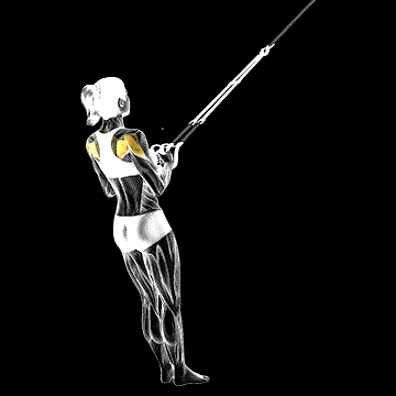 Suspender Shoulder External Rotation demonstration