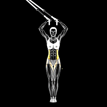 Suspender Side Bend demonstration