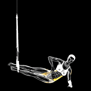 Suspender Side Bridge demonstration
