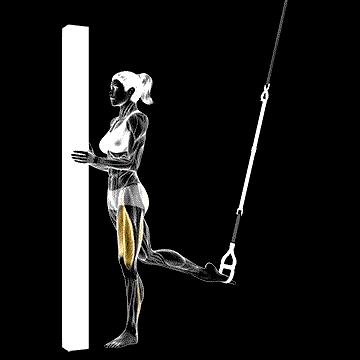 Suspender One-Leg Split Squat (Self Assisted) demonstration