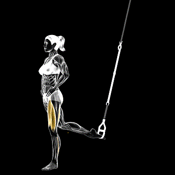 Suspender One-Leg Split Squat demonstration