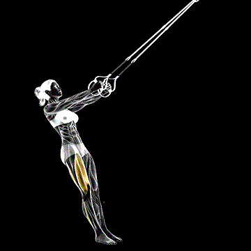 Suspender One-Leg Squat demonstration