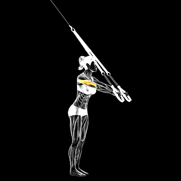 Suspender Triceps Extension demonstration