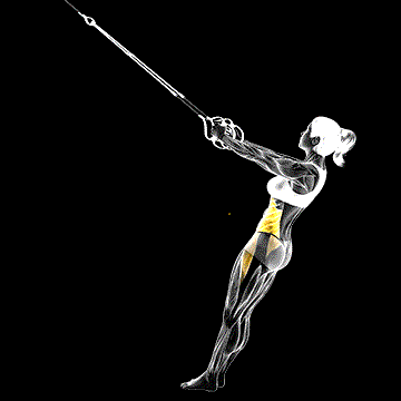 Suspender Twist demonstration