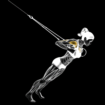 Suspender Close-Grip Chest Press demonstration
