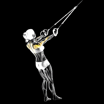 Suspender Face Pull demonstration
