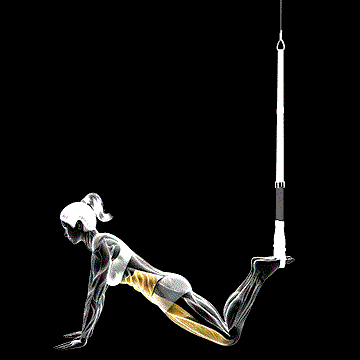 Suspender Front Plank demonstration