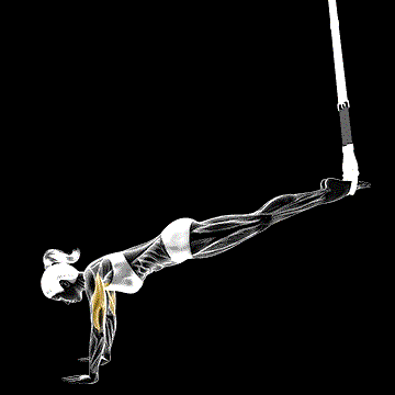 Suspender Incline Push-up demonstration