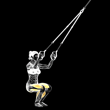 Suspender Jump Squat demonstration