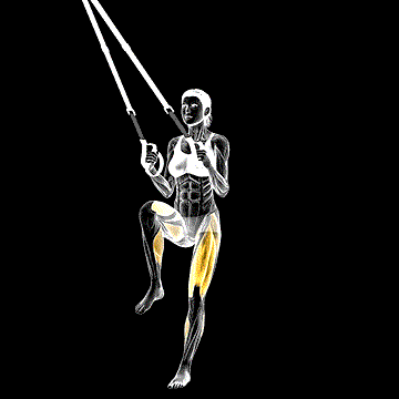 Suspender Lunge Back Crossover demonstration