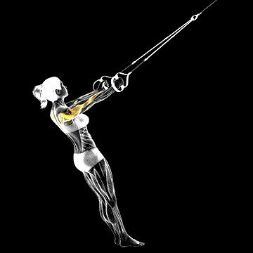 Suspender Middle Row demonstration