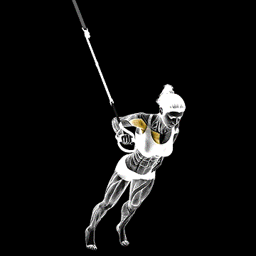Suspender One-Arm Chest Press demonstration