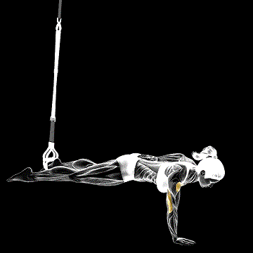 Suspender One-Arm Leg Push-up demonstration