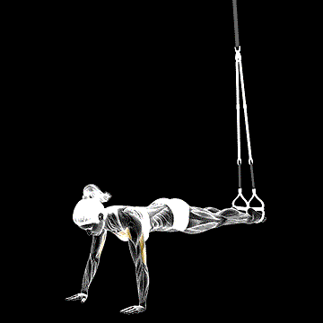 Suspender Push-up demonstration