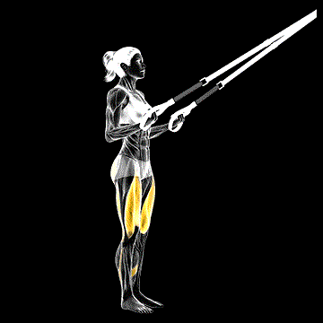 Suspender Rear Lunge demonstration