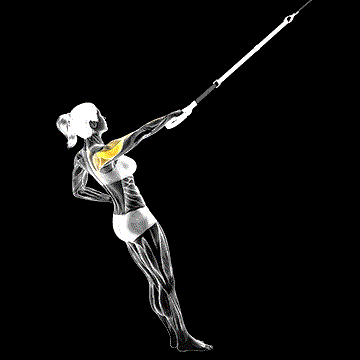 Suspender One-Arm Rear Delt Row demonstration