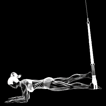 Suspender One-Leg Plank demonstration