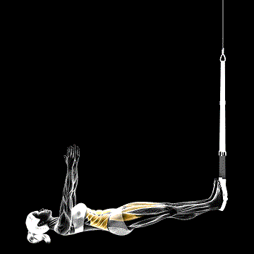 Suspender Sit-up demonstration