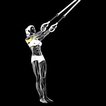 Suspender Split Fly demonstration