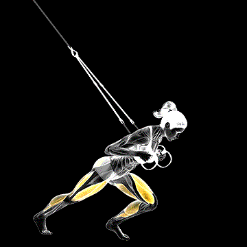 Suspender Sprinter demonstration