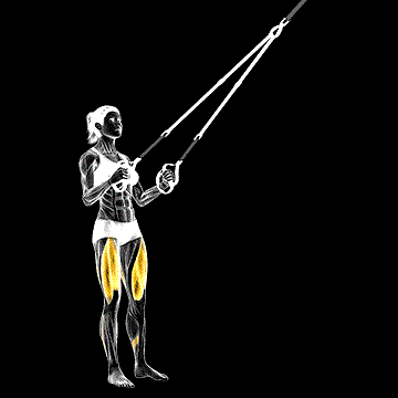 Suspender Squat demonstration
