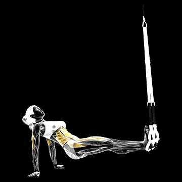 Suspender Supine Crunch demonstration