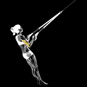 Suspender Tricep Kickback demonstration