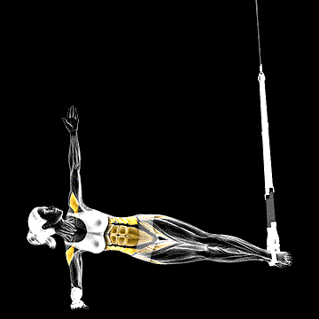 Suspender Twist Side demonstration