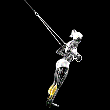 Suspender Calf Raise demonstration