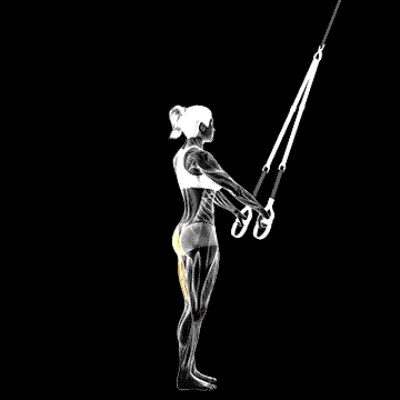 Suspender One-Leg Deadlift demonstration