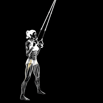 Suspender Hip Hinge demonstration