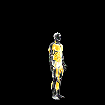 Burpee demonstration
