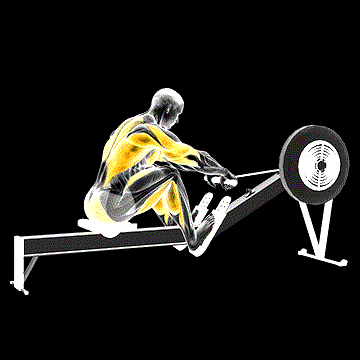 Rowing demonstration