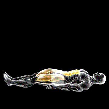 Lying Leg Raise demonstration