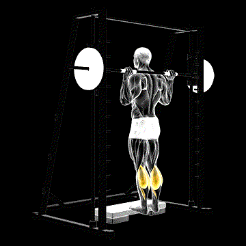 Smith Calf Raise demonstration