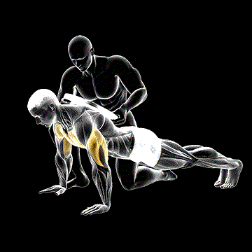 Assisted Weighted Push-up demonstration