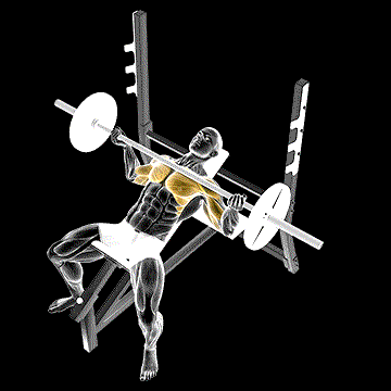 Barbell Incline Wide Reverse-Grip Bench Press demonstration