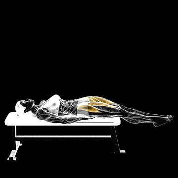 Lying Straight Leg Raise demonstration